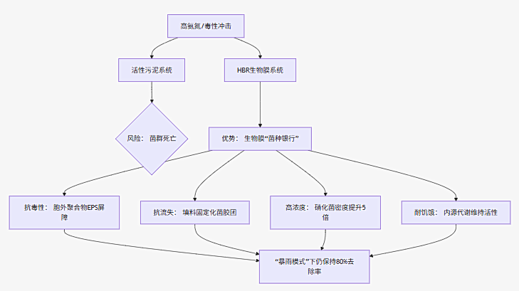 640 (2).png