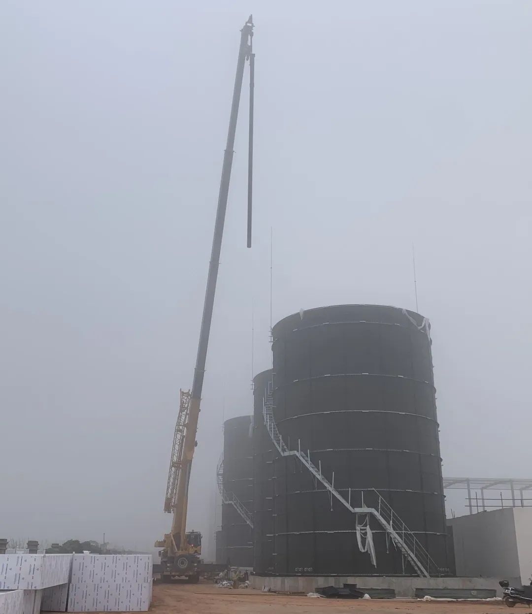 1755063291890197.jpg 640 (1).jpg