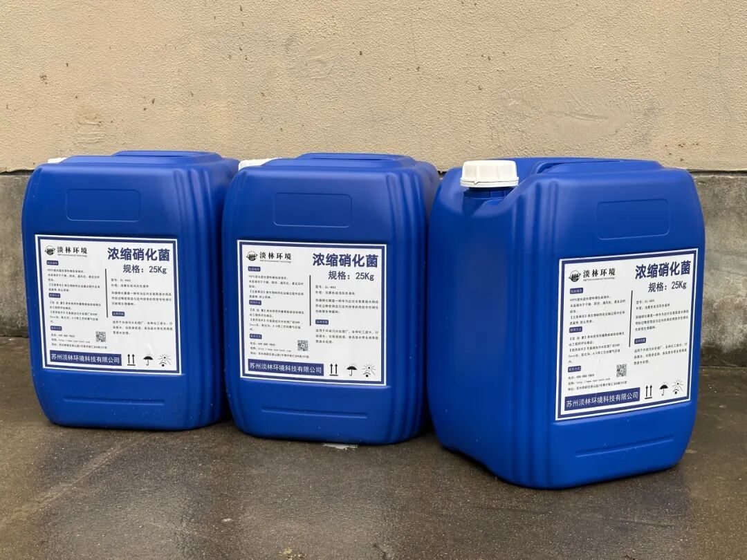 1760520703699371.jpg 640 (1).jpg