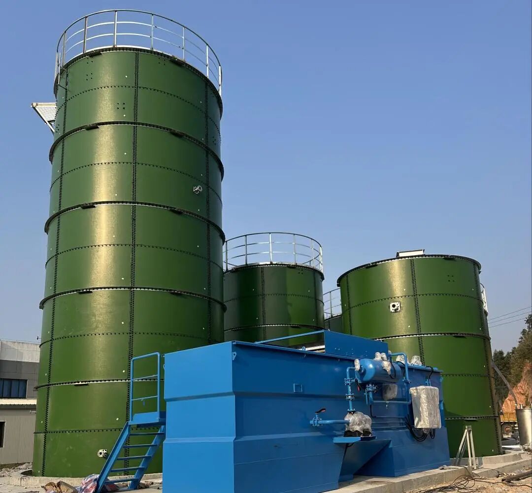 1768886859142700.jpg 640 (3).jpg