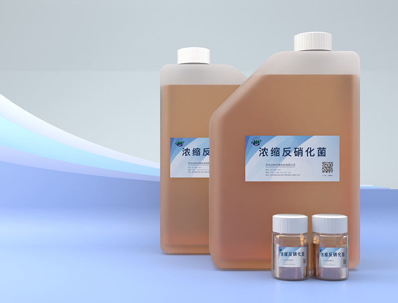 脱氮系列—浓缩反硝化菌