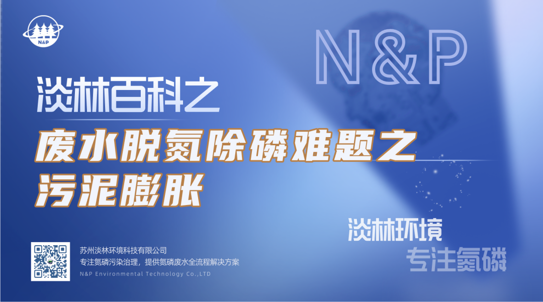 淡林百科｜废水脱氮除磷难题之污泥膨胀
